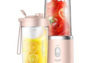 Máy xay sinh tố mini