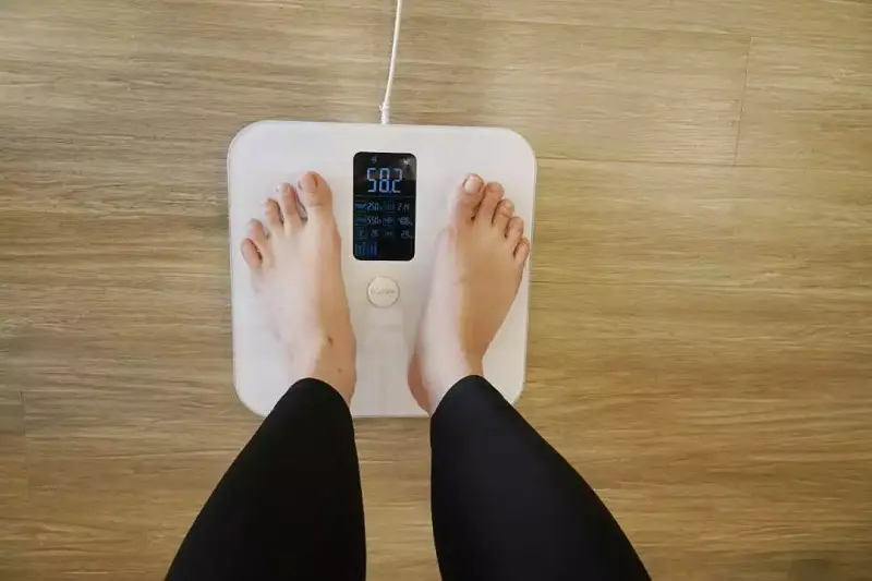 5 cân Rapido tốt nhất 2026