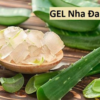 Gel nha đam là gì? Có tốt không? Mua loại nào cho tốt?