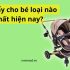 Ghế ăn dặm loại nào tốt? Cách chọn mua ghế ăn dặm cho bé