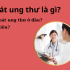 Lưu trữ máu cuống rốn là gì? Có cần thiết không? Làm ở đâu? Giá ra sao?